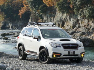 tHX^[SJ# KADDIS AR4I[o[tF_[ KD-EX12001 [hnEX FORESTER  JX^ p[c [J[̈ב llzs lt͕ʓrςƂȂ܂B