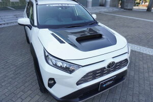yőP10{z RAV4 KADDIS GA{lbg KD-EX17002 JX^ p[c i JfBX [J[̈בslt͕ʓrςƂȂ܂BAւ̑͂