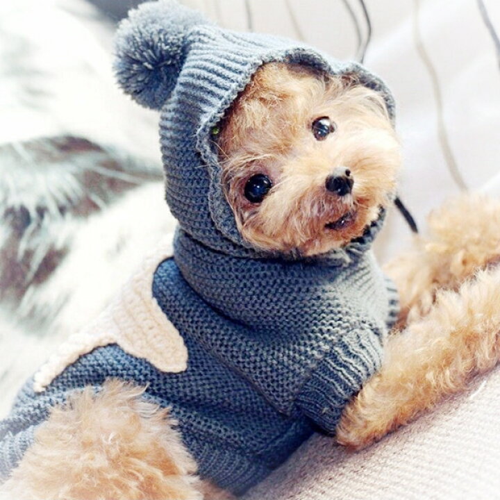 ハンドメイド 可愛いペット服 手編み 犬服 Mサイズ 通販