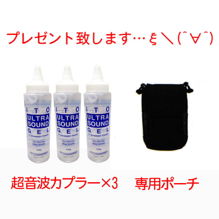 楽天市場】超音波骨折治療器 イトー オステオトロンV 本体 人気