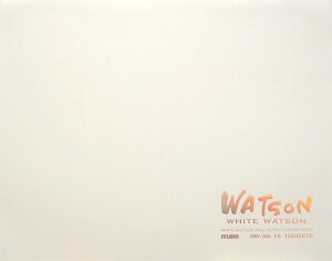 【期間限定ポイントUP】ミューズ 水彩紙 ホワイトワトソンブロック F2 300g ホワイト 15枚入り HW-302 F2 [並行輸入品]