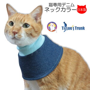yyjz Lp fjlbNJ[ yL 畆 ی  X^C 悾ꂩ ی앞 앞 L 畆ی 畆ی앞 t  z