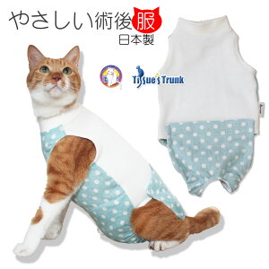 yyjz Lpp㕞@ʃu[y앞 p㕞 ی앞 p p㒅 pEFA L Jp B 畆 D Dpz