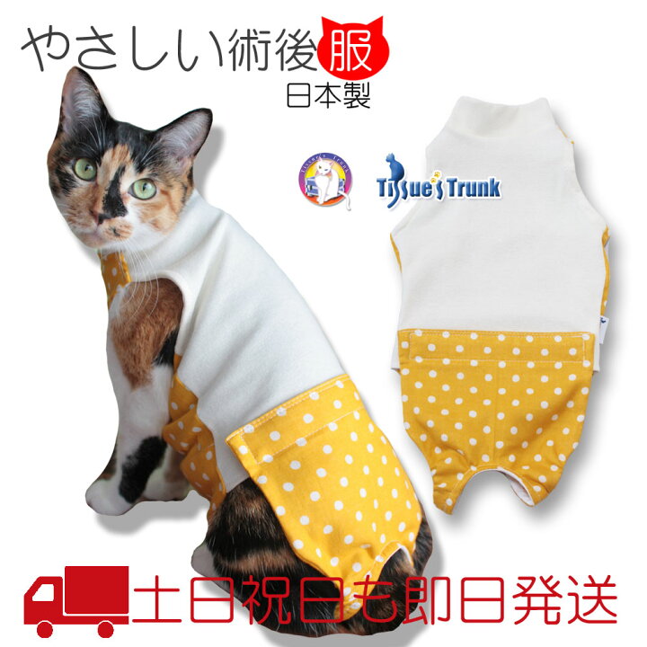 楽天市場 土日祝日発送 猫用術後服 水玉オレンジイエロー 介護服 術後服 保護服 服 猫 術後 術後着 術後ウェア 猫服 開腹手術 乳腺腫瘍 皮膚 避妊 避妊手術 避妊手術後服 Tissues Trunk