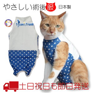 猫用ペット服 術後服の人気商品 通販 価格比較 価格 Com 猫用ペット服 術後服の人気商品 通販 価格比較 価格 Com