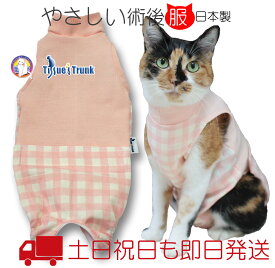 楽天市場 猫 首 保護の通販