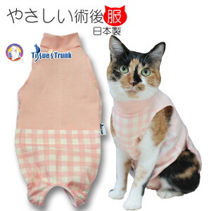 yyjz y݁zLpp㕞@sN`FbNy앞 p㕞 ی앞 p p㒅 pEFA L Jp B 畆 D Dpz