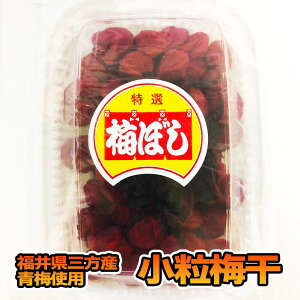 Е Y ~140g skREv̗ т̗F  Ђ G 䌧Y~gp Mtg ̓ ƈ