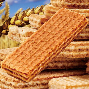 JVE o[ EFn[X 60 h{@\Hi JVE240mg KNgIS30mg S1.49mg lɕsȃJVE  eB[^C d̈ꑧ