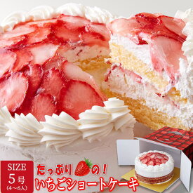 たっぷり生クリームといちごのショートケーキ 5号ホールサイズ 約20cm 上品な甘さの純白クリームの上に人気のいちごがたっぷり ホームパーティー お誕生日 母の日 父の日 こどもの日 クリスマス