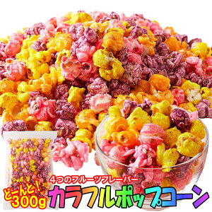 Jt |bvR[ p300g Jt |bvR[ p300g 4̃t[ct[o[̍i O[v IW j@vCX_E܂I