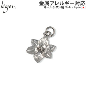 y AM[Ή z `^ y_ggbv XCZ ( `^   ᒆ daffodil narcissi  a 1 gbv wbh y_gwbh jbPt[ mAM[ 