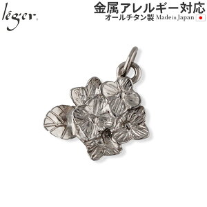 y AM[Ή z `^ y_ggbv  (`^ z AWTC hydrangea  a 6 gbv wbh y_gwbh jbPt[ mAM[ `[ p