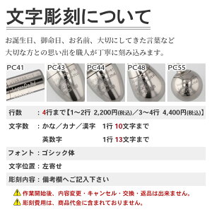 純チタン製メモリアルネックレス(遺骨ペンダント)PC41-1