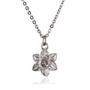 y AM[Ή z `^ y_g lbNX XCZ ( `^   ᒆ daffodil narcissi  a 1 `F[ AWX^[ jbPt[ mAM[ j