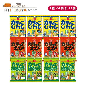 ܂ Jb 3 XibN lߍ킹Zbg 12܁i킵EсE킩߁Ђe4܁j h{@\HiiJVEjَq  ׂ