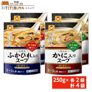 } ӂЂX[v ɓX[v 250g ×e2 v4܃Zbg ZkggX[v ȒP