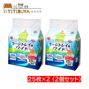 2Zbg }J ̃P[WV[c Ch 25×2