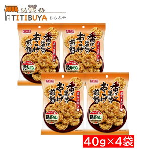 VT ΂ݖ̂ 40g×4 HׂTCY