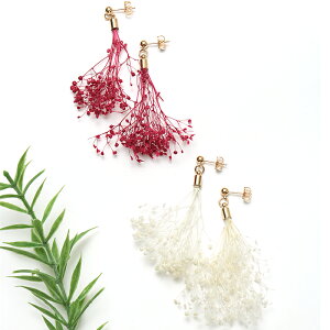 sAX C[ANZT[ fB[X t   킢 X^bh Lb` h  t[ u[P i` l JWA K[[ zCg bh GXjbN ``JJ T