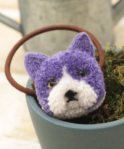 ||Aj}wAS ^ wAS   wA[ANZT[ wAAW fB[X {[  Aj}   tFCX p_ i}Pm N} lR n` || 