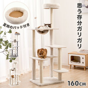 yBFZ[&P5{zLbg^[ L^[ Ђt Lbgc[ ^ 160cm FD CeA Lxbh  cat tower tree VR ȕR ybgpi  ܂Ƃ XgX