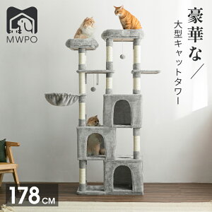 MWPO Lbg^[ ^  nbN LnEXO 芴Q  Lxbh ܂Ƃ 178cm mwpo-814