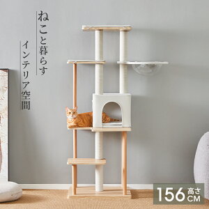 y18P5{z_Vio^MWPO Lbg^[ MDF ؖڒ 154cm I[V[Yf FD |yX LnEX L^[ Lbgc[ 5{x Lxbh ܂Ƃ Vя ^s 