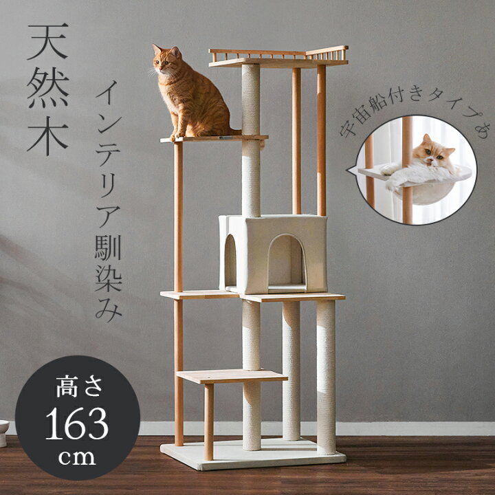 楽天市場】【マラソン限定＆P10倍】【レビュー特典あり】＼楽天1位 