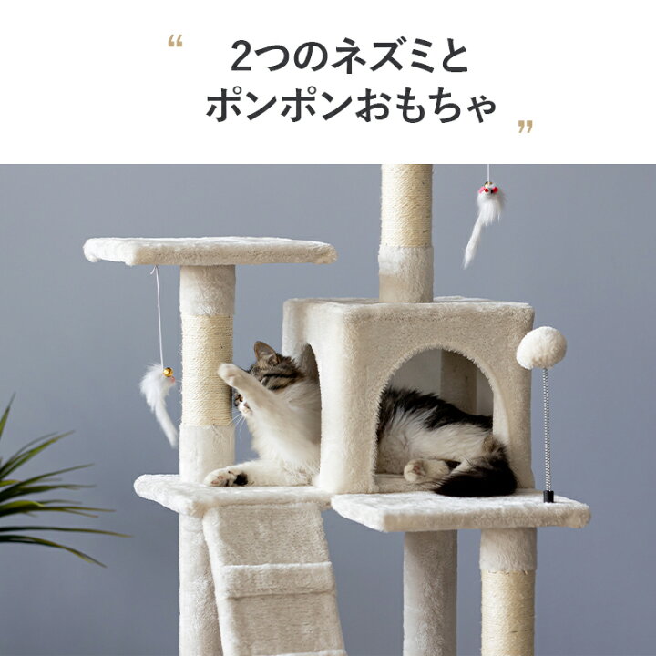 楽天市場】【15日限定＆300円 / 500円OFFクーポン】＼楽天1位！／MWPO 