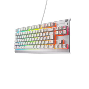 �Q�[�~���O�L�[�{�[�h �e���L�[���X �L�� Apex 3 TKL �É��X�C�b�` IP32�h�H 24�L�[���������Ή�-VR