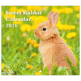 アクティブコーポレーション 2026 カレンダー 壁掛け Sweet Rabbit 26ACL-36 2026年 1月始まり