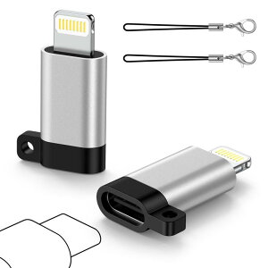 Type C to ning ϊA_v^ 2Zbg h~Xgbvt 27w[d/480Mbpsf[^] ^CvCIOSϊUSB-C iPhone ϊRlN^ iPhone14/13/12/11/SE/iPadȂǑΉ