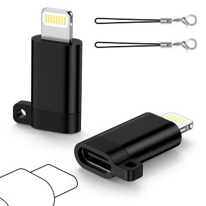 Type C to ning ϊA_v^ 2Zbg h~Xgbvt 27w[d/480Mbpsf[^] ^CvCIOSϊUSB-C iPhone ϊRlN^ iPhone14/13/12/11/SE/iPadȂǑΉ