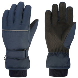 LbY XL[O[u Xm[O[u  q ǂ ~ j̎q ̎q h h ۉ  ʋC V XL[ Xm{ EC^[ AEghA