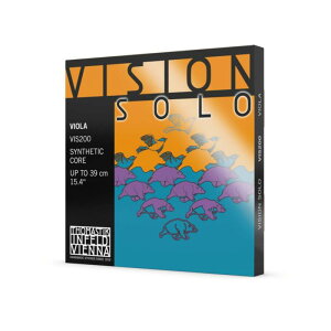 Vision SOLO�@���B�W���� �\���@�r�I�����@�Z�b�g