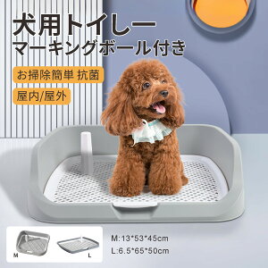 LgCgC gCg[ Ch  قƂ΂h~ pgC ybgp g[jOgC