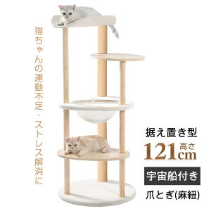 Lbg^[ L^[  ܂Ƃ FDt u 芴Q |ȒP  121CM ^L L qL  킢