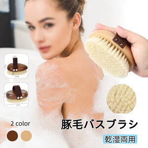 yX[p[SALEzACezؖ {fBuV VRؕ A w ̐􂤃uV  e uV ^Cv {fBPA eObY }bT[W C oXObY Vv 