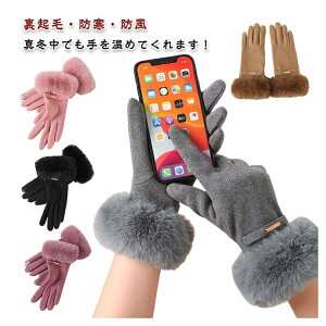 fB[X H~ h Œg ۉQ X}zΉ 5{w h ] ʋ ʊw ig AEghA ܂łی 킢 fUC ΍ v[g M