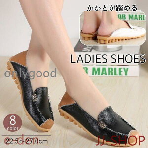 [t@[ fB[X p C V[Y hCrOV[Y U[ v 傫TCY  ߂ JWA 