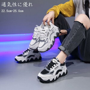 Xj[J[ fB[X  U EH[LO ʋCQ ₷ ɂ  킢 C r gAbv  r