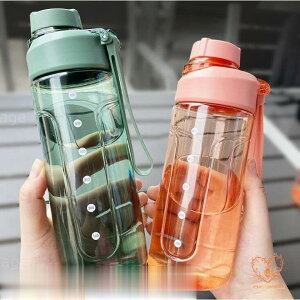   ėp  vX`bN{g e   {g y ֗ ʋ W jO ̑ K g[jO X|[c Rbv ^