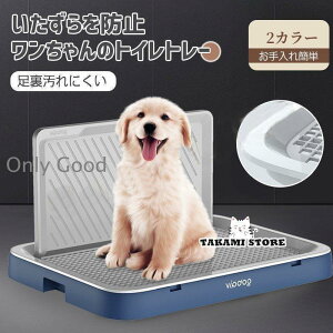  gC pgC ؃bggC g[jOpi IX юU g[ ֗ ybggC ybg h~ p  юUh~