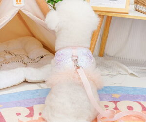 ybg    t    t n[lX EFA 킢  nCuh L hbO EFA