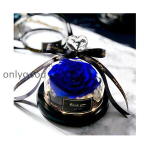 vU[uht[ o bh[Y  KXh[ LEDCgt ؐx[X }eBbN  ސEj a v[g Mtg