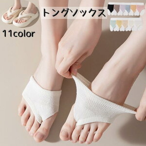 gO T_ n[t fB[X C  T_p wԍo ی ݂ JoLx