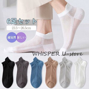 C Y \bNX n Vv bV ig  ʋC  6_Zbg Ȃ hL Xj[J[\bNX