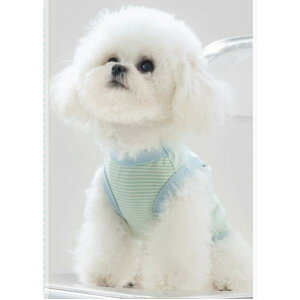  @@N[@@tā@ybgEFA@@ybgEFA  Ck ^ xXg@ ybg ybgpi ėp