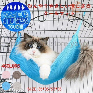 y L }bgz₦ЂN[}bg hbO}bg lR}g nbN@ ⊴}bg Ђ ڐG⊴ XeC}bg